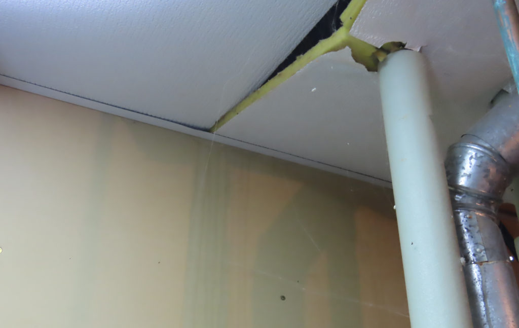 Moisture Inspection Home Inspector Roseville